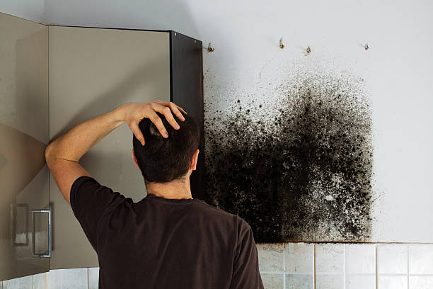 Best Residential Mold Inspection & Testing  in East Rutherford, NJ